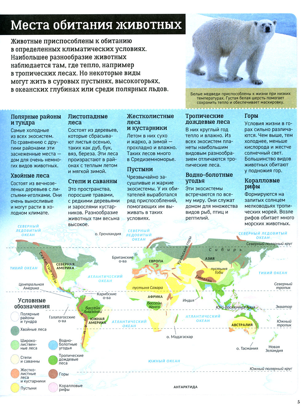 Детский атлас. Животные мира