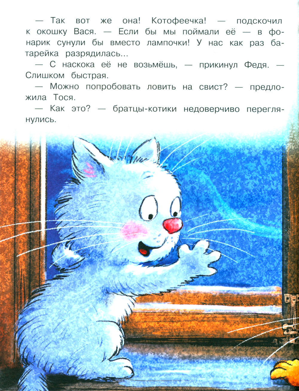 На что ловятся котофеечки