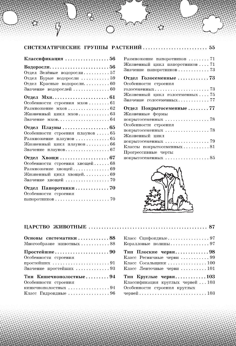 Biologie. Il y a des thèmes dans le cursus scolaire. 8-11 heures