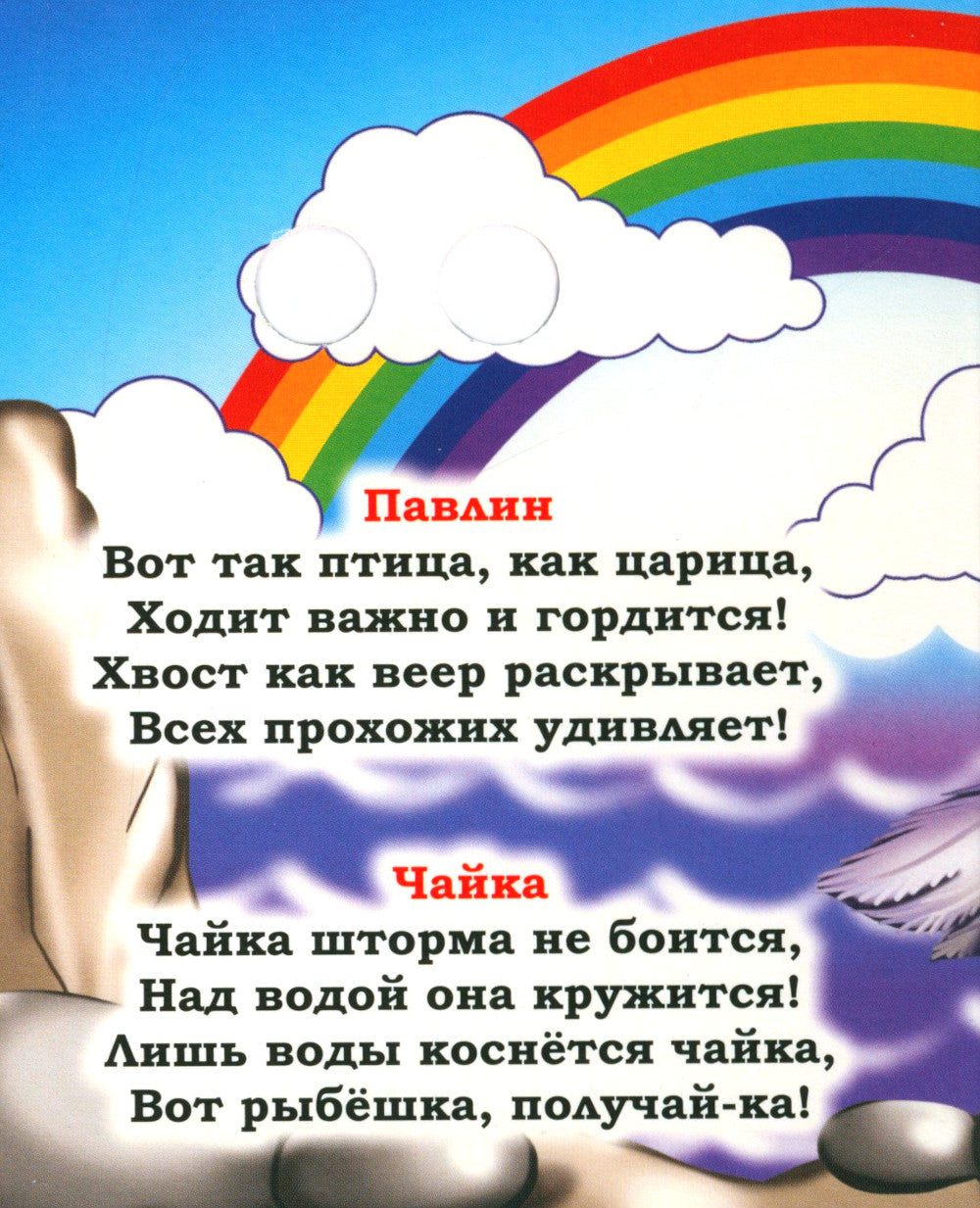 Веселые глазки. Удивительные птицы