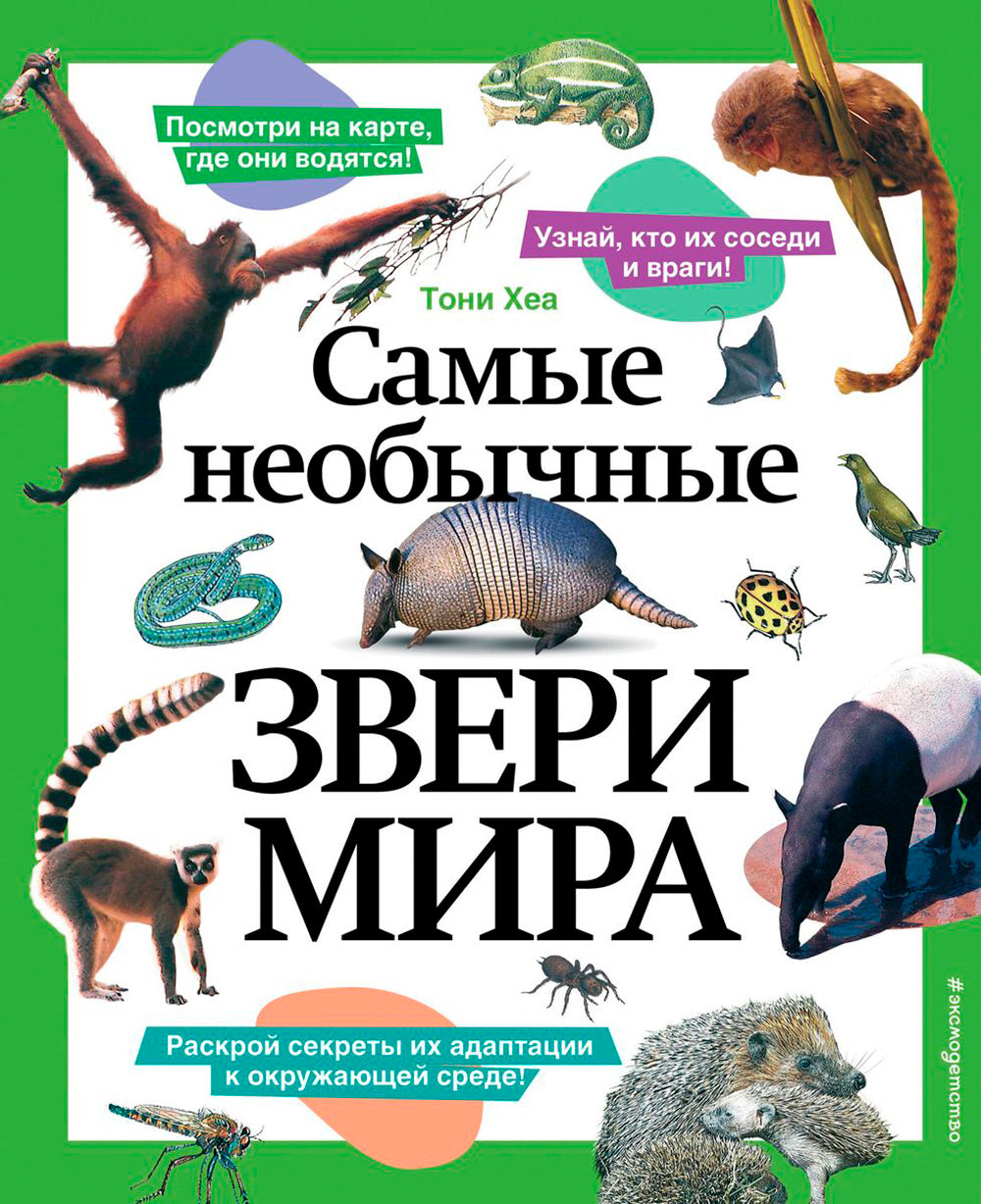 Самые необычные звери мира