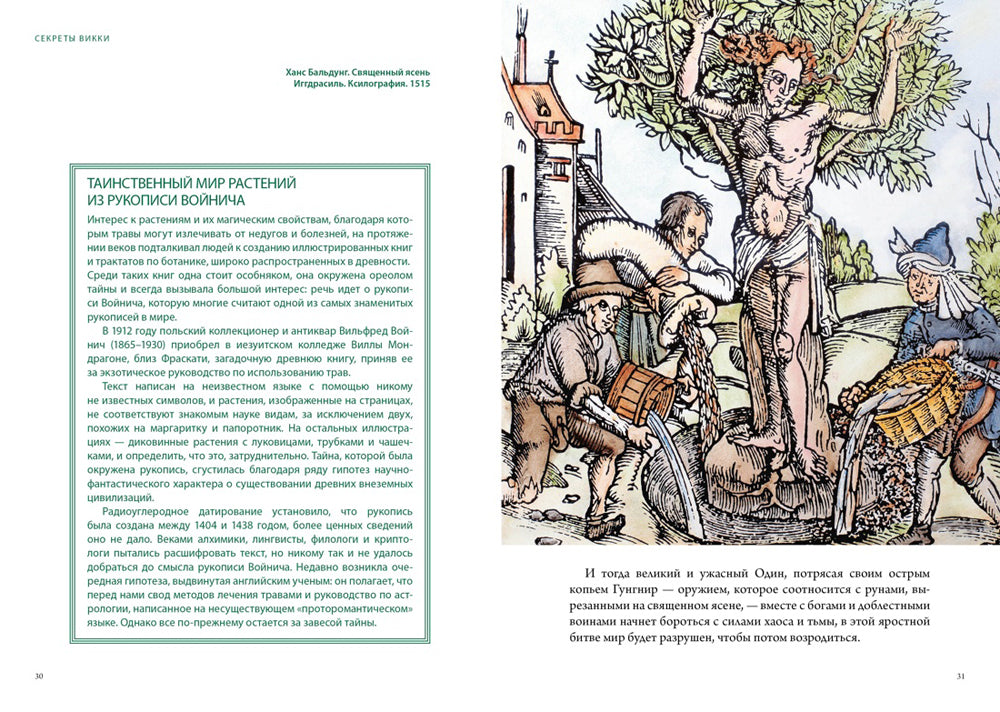 Викка. Зеленая магия, растения и ритуалы