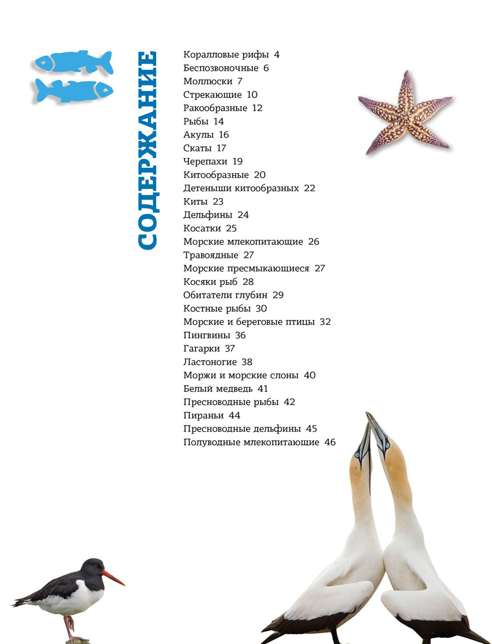 Подводный мир. Школьная энциклопедия. 200 voix et voix