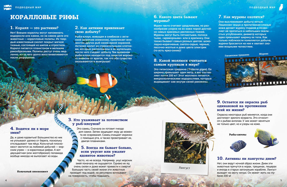 Подводный мир. Школьная энциклопедия. 200 voix et voix