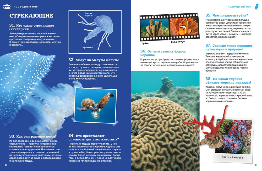 Подводный мир. Школьная энциклопедия. 200 voix et voix