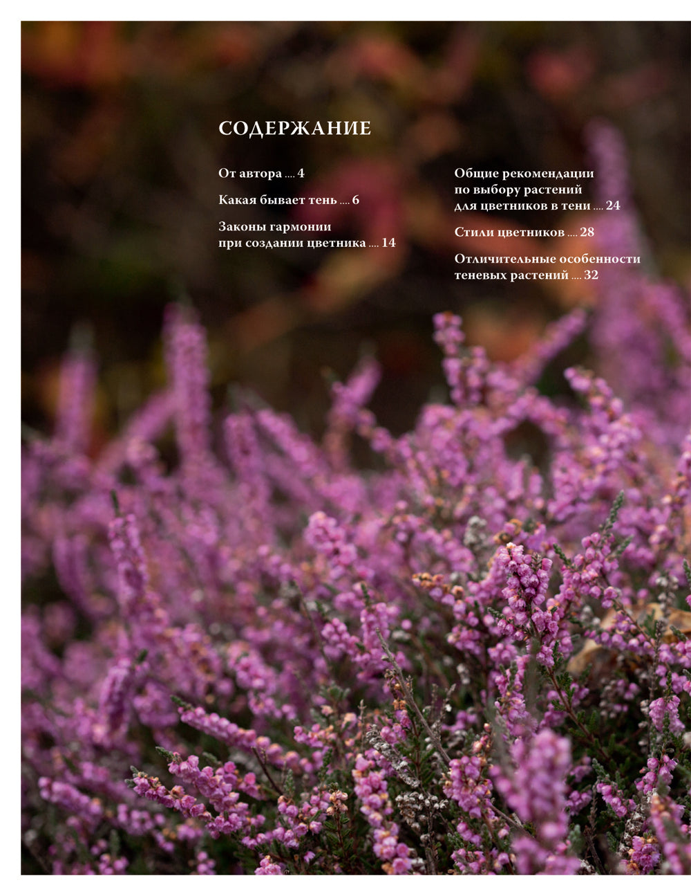 Цветник в тени. Неприхотливые растения для вашего сада