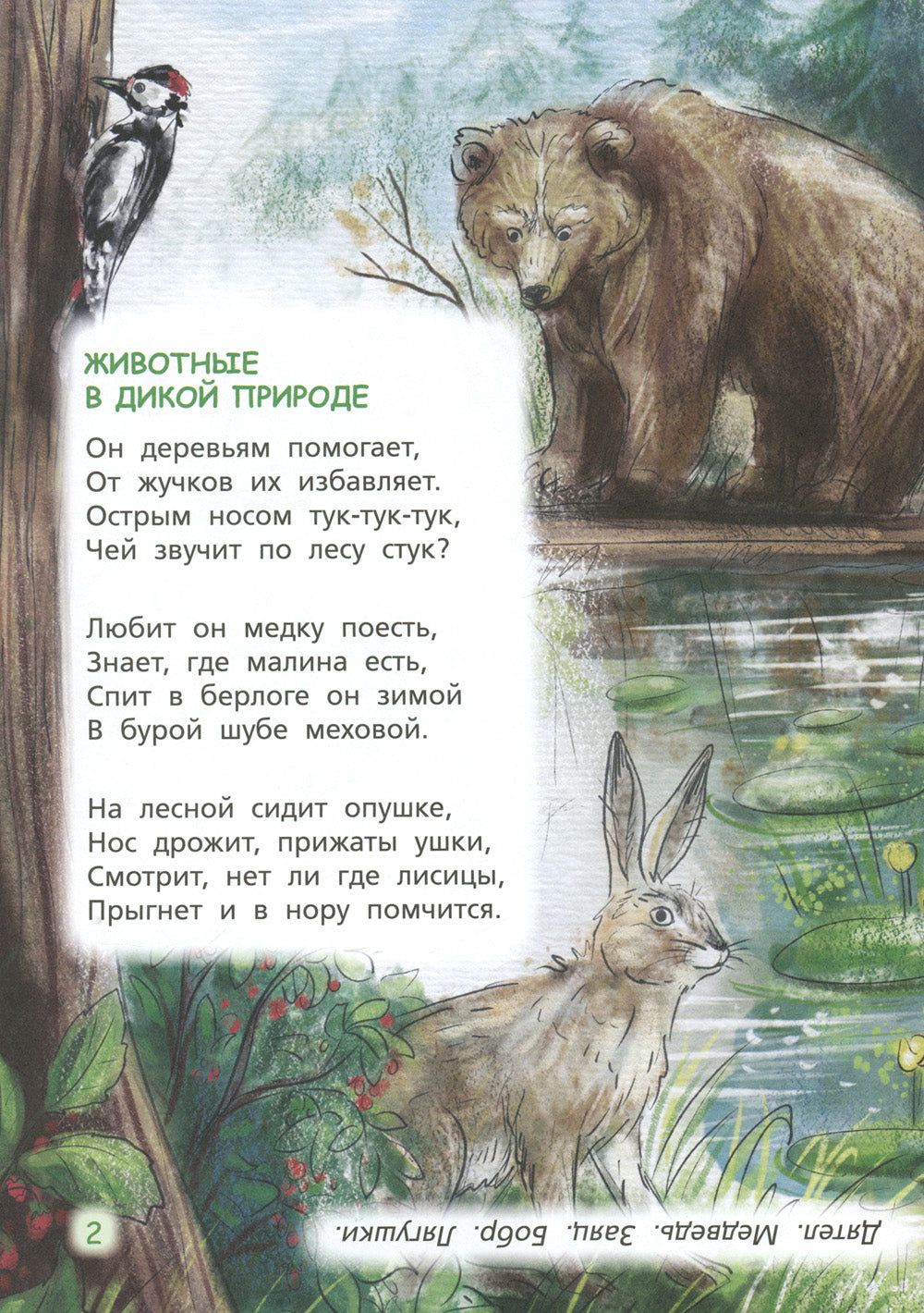 Загадки обо всем на свете. Отгадай и покажи