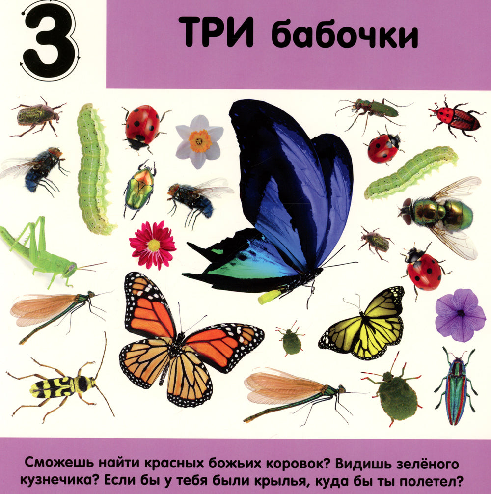 Фотокнига. Цифры