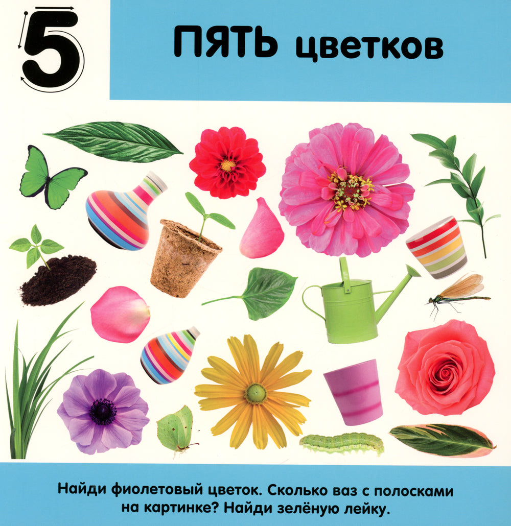 Фотокнига. Цифры