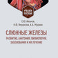 Слюнные железы: развитие, анатомия, физиология, заболевания и их лечение: Учебное пособие