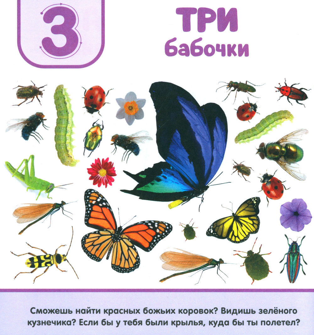 Цифры. Первая фотокнига малыша