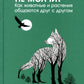 Купить В лесу никто не молчит. Как животные и растения общаются друг с другом