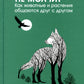Купить В лесу никто не молчит. Как животные и растения общаются друг с другом