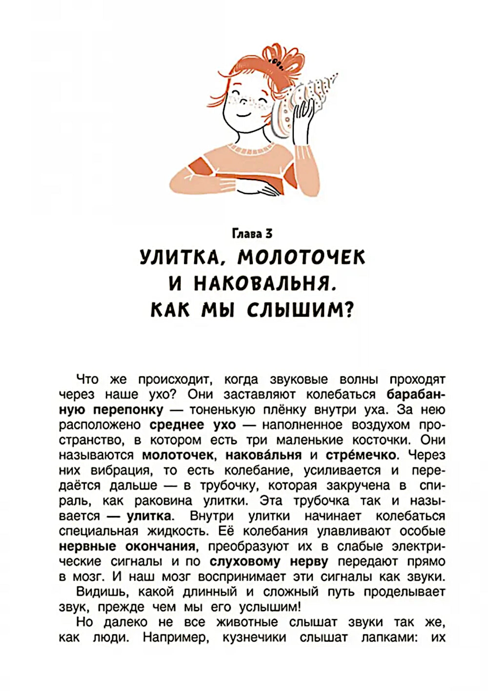 Свет и звук. Physique pour bébé