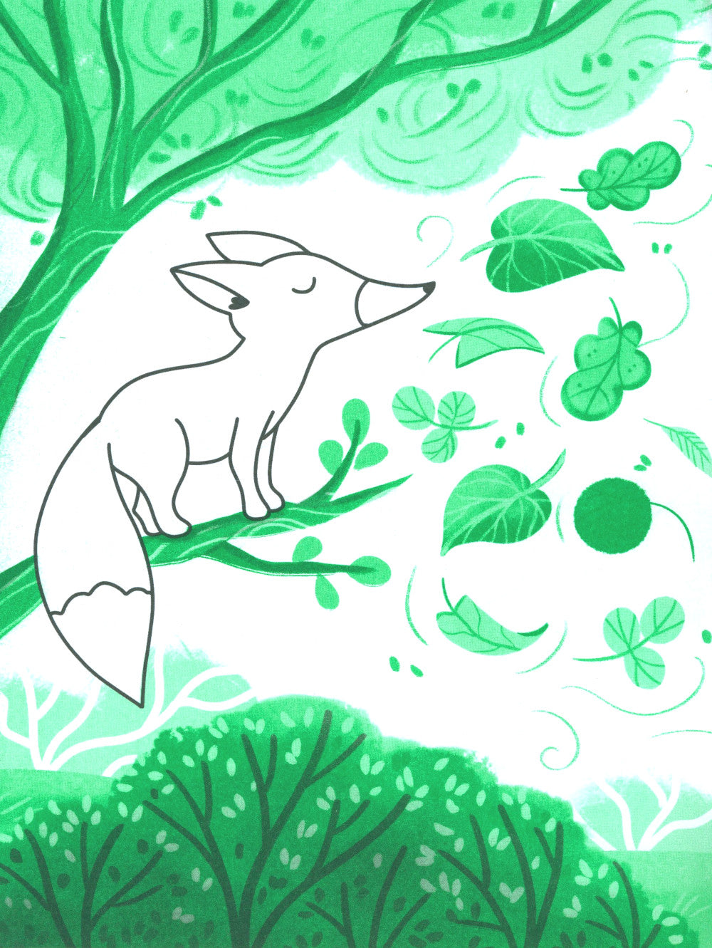 Прогулка с карандашами. Развивай свое воображение