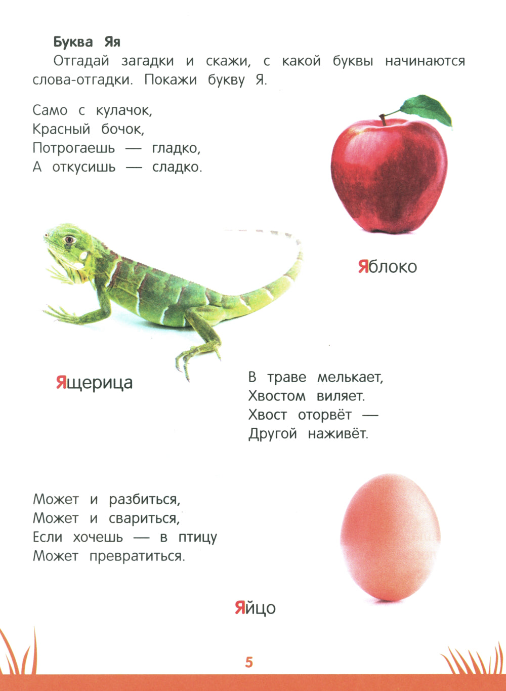 Энциклопедия дошкольника: 4-5 лет