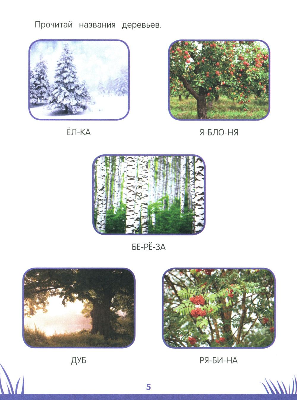 Энциклопедия дошкольника: 5-6 лет