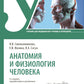 Анатомия и физиология человека: Учебник. 4-е изд., перераб. и доп