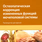 Остеопатическая коррекция измененных функций мочеполовой системы: руководство для врачей