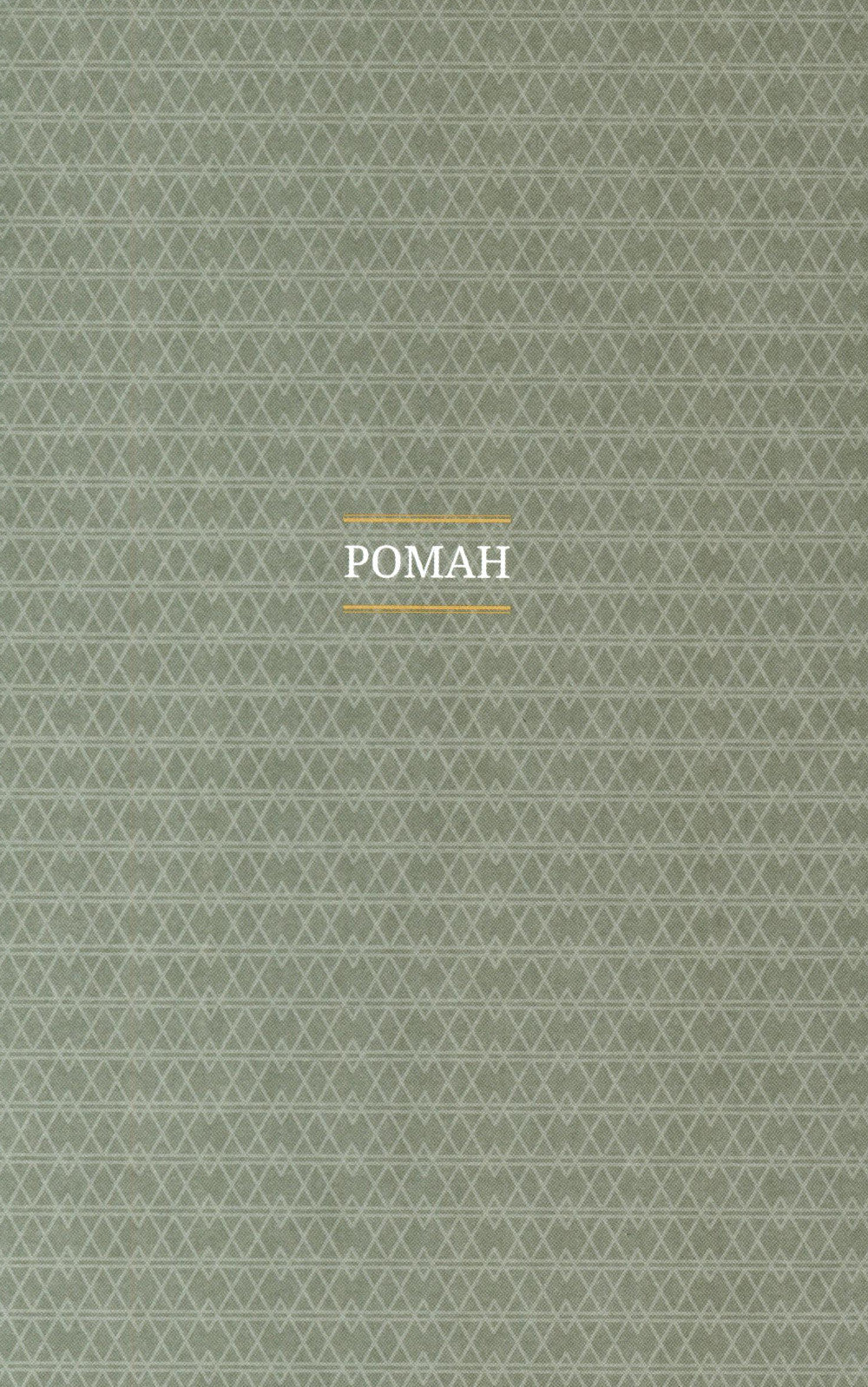 Чудесный доктор: роман, повести, рассказы