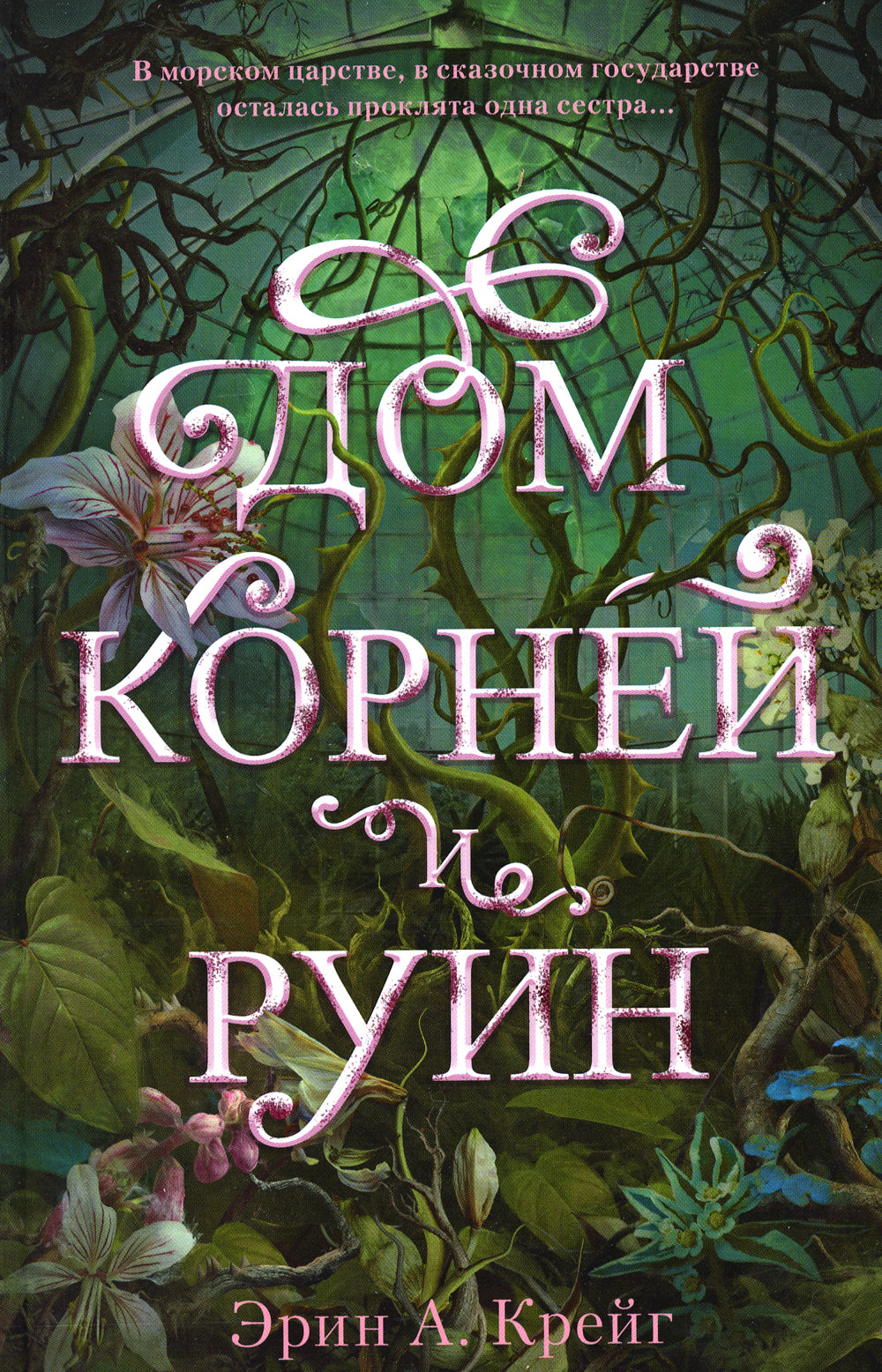 Дом корней и руин (+ мерч - 2 открытки, закладка)