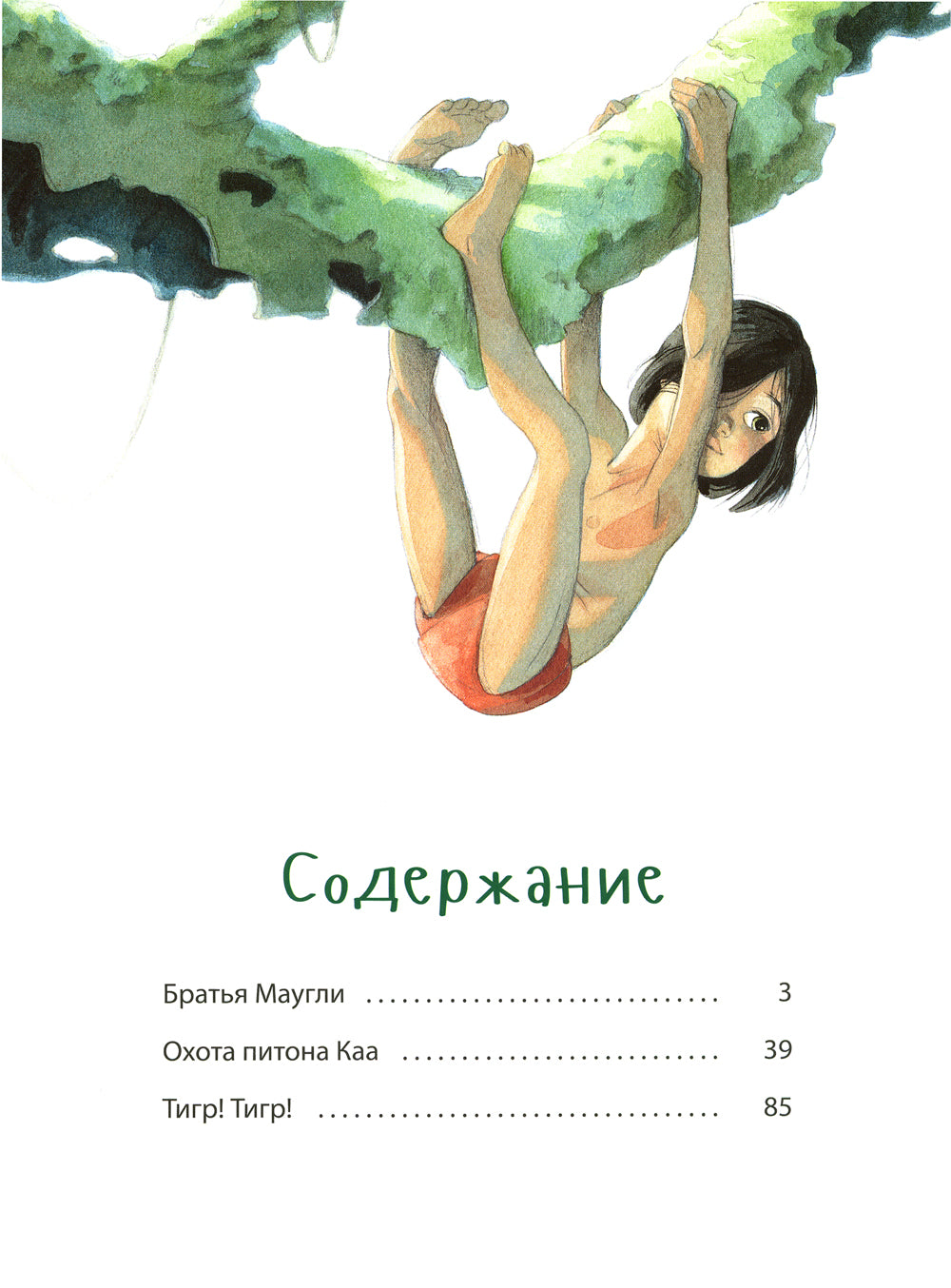 Книга джунглей. История Маугли