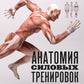 Анатомия силовых тренировок