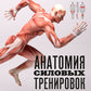 Анатомия силовых тренировок