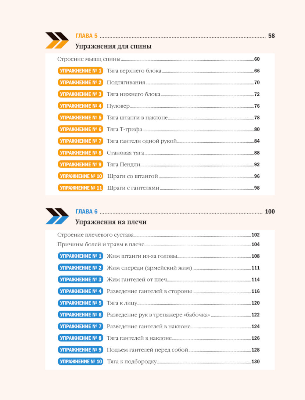 Анатомия силовых тренировок