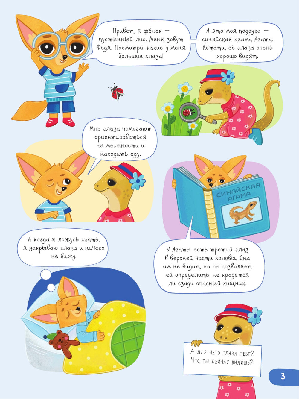 Органы чувств: вижу