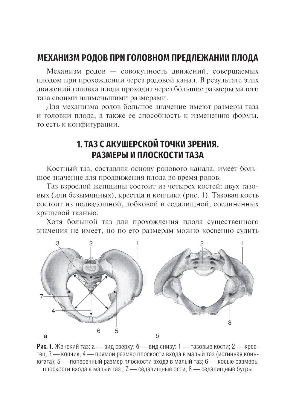 Механизм родов при головном предлежании плода: Учебное пособие