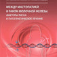 Между мастопатией и раком молочной железы: факторы риска и патогенетическое лечение