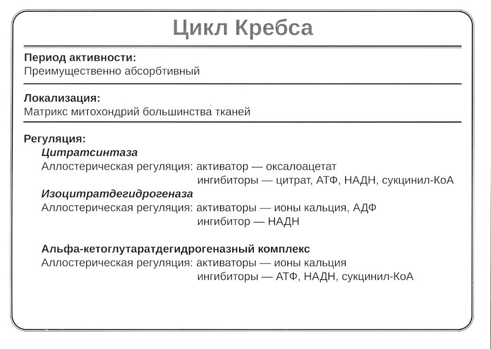 Биохимия. Основные метаболические пути организма человека (38 карточек)