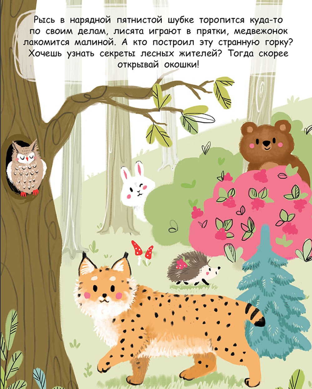 Кто в лесу живет