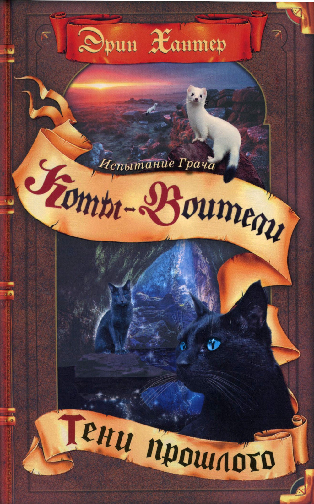 Коты-воители. Испытание Грача. Кн. 1. Le tennis