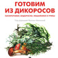 Готовим из дикоросов. Папоротники, водоросли, лишайники и грибы