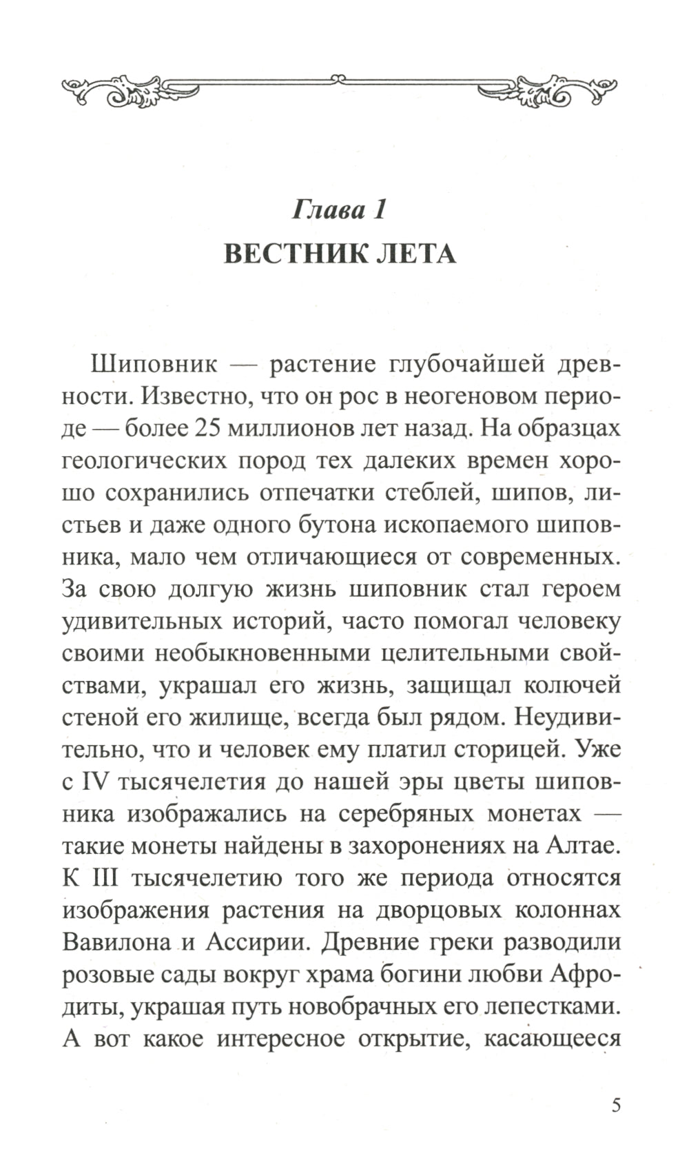 Шиповник: Мифы и реальность