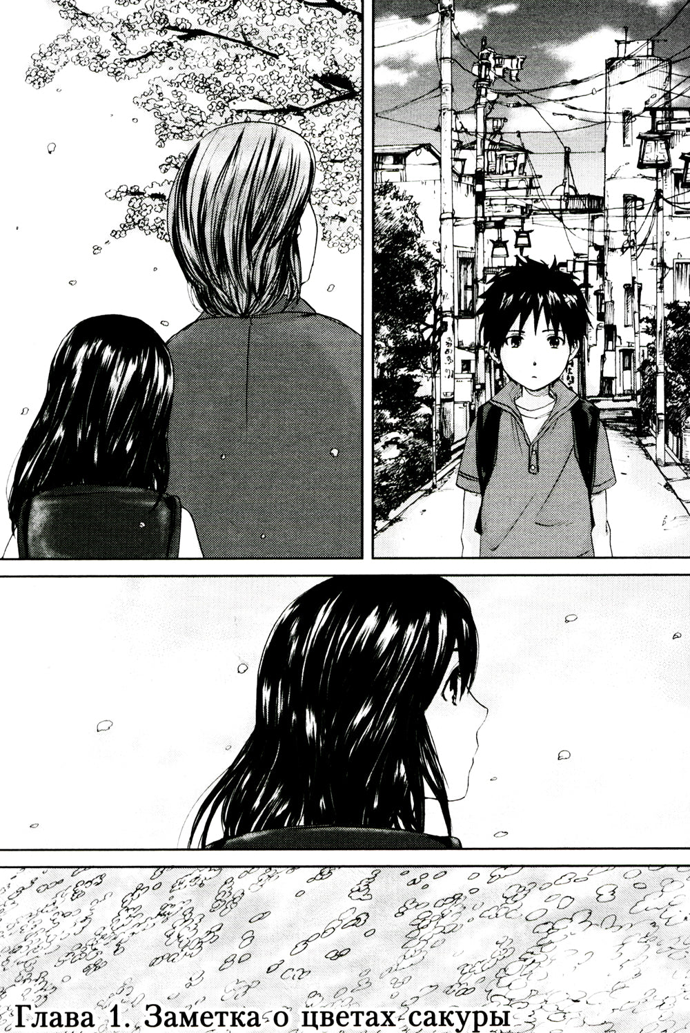 5 santimètres par seconde (manga)