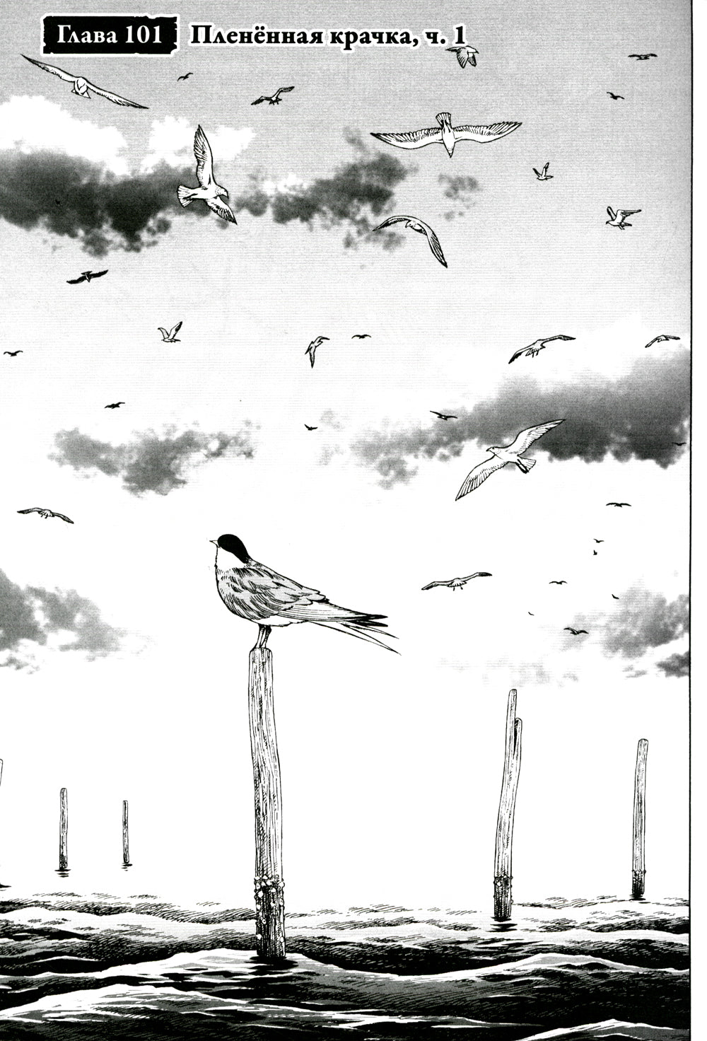 Сага о Винланде. Кн. 8