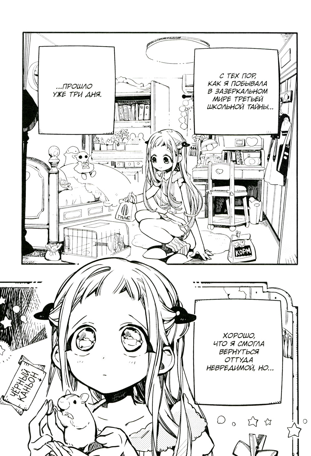 Туалетный мальчик Ханако. Т. 8