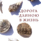 Дорога длиною в жизнь: исповедь русского семидесятника