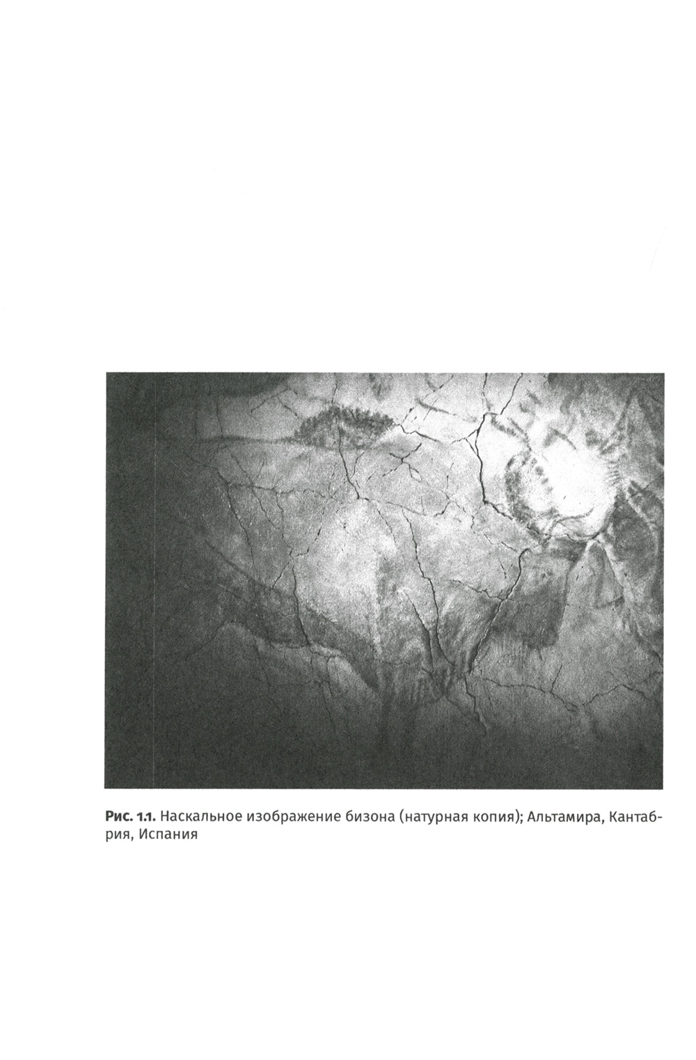 Похождения видов. Вампироноги, паукохвосты и другие переходные формы в эволюции животных. 2-е изд., испр. и доп