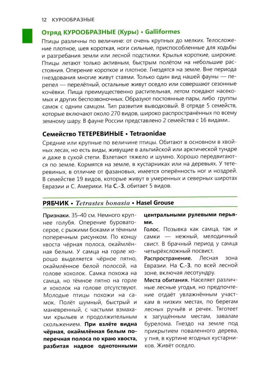 Птицы Северо-Запад: Фотоопределитель