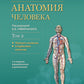 Анатомия человека: Учебник: в 2 т. Т. 2. Système nerveux. 3-е изд., перераб