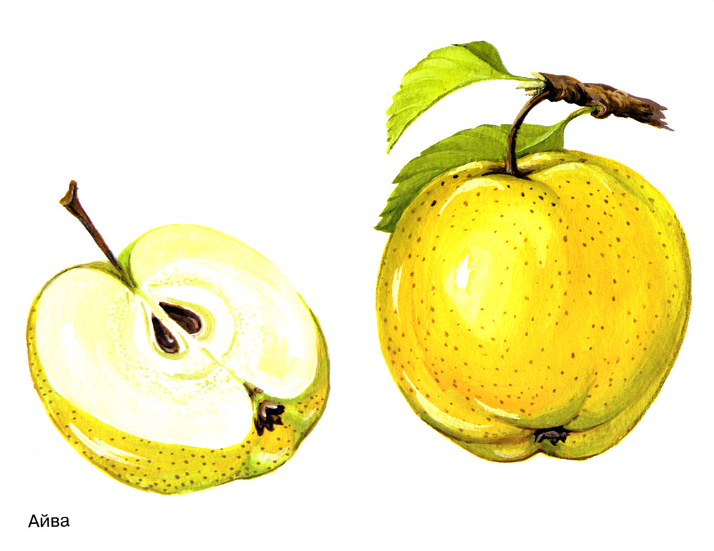 Фрукты в картинках. Наглядное пособие для педагогов, логопедов, воспитателей и родителей