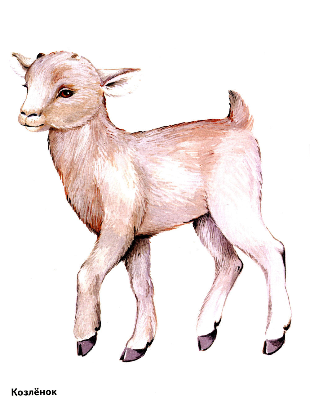 Les enfants de la maison sont dans les cartes. Offres spéciales pour les enseignants, les logopèdes, les hôpitaux et les hôpitaux