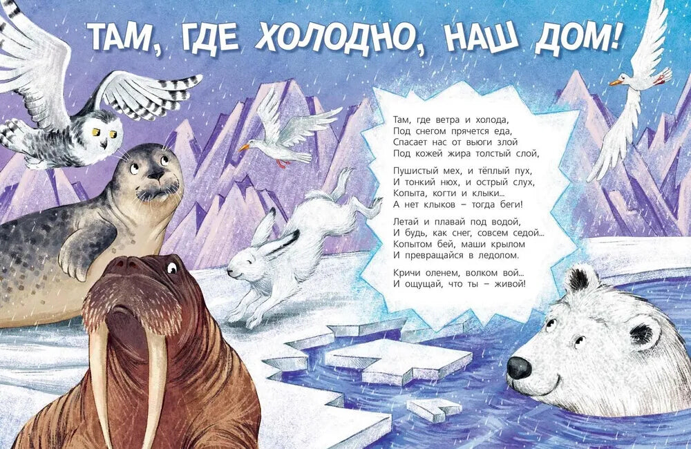 Посмотри, где мы живем!