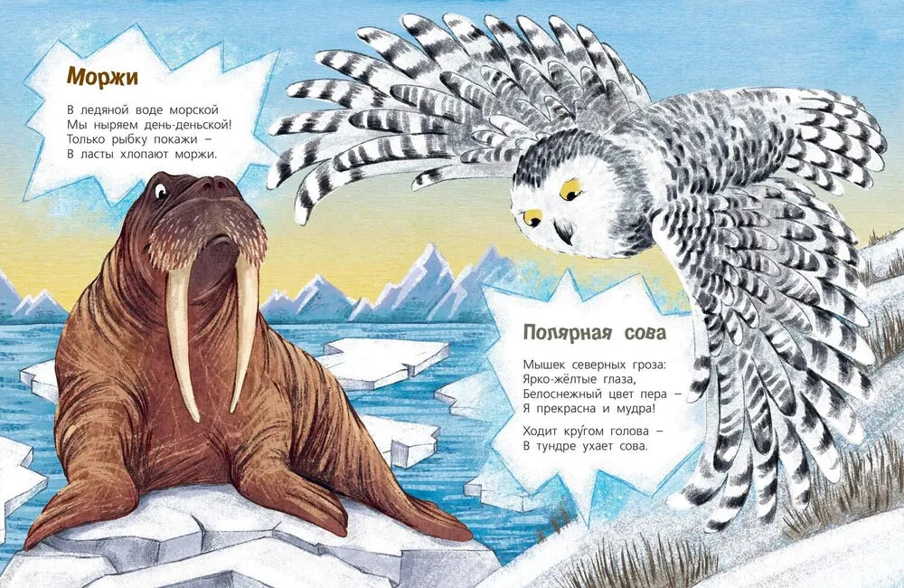 Посмотри, где мы живем!