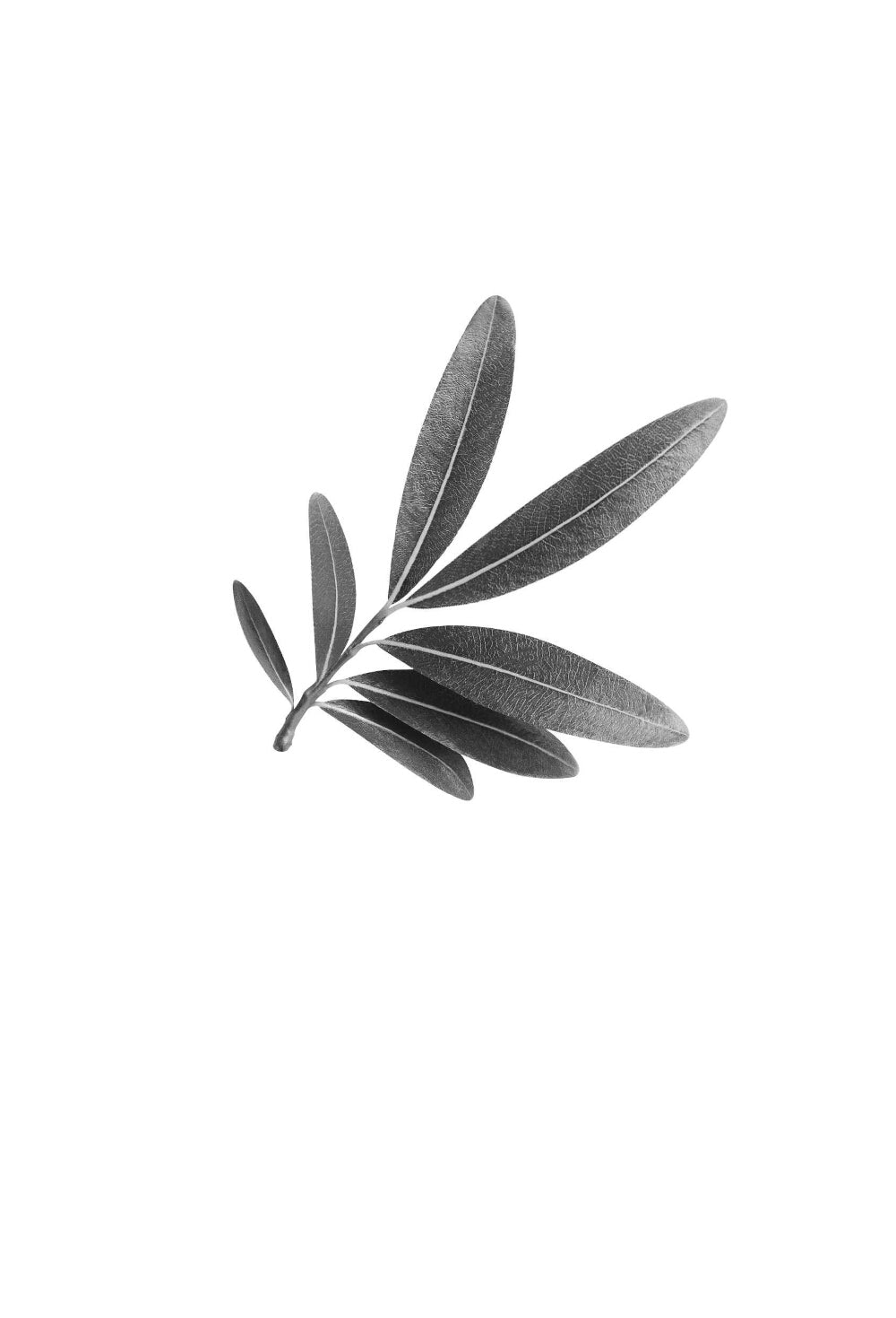 Семь сестер. Атлас. История Па Солта