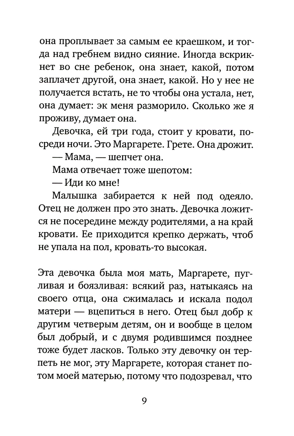 Багаж: роман